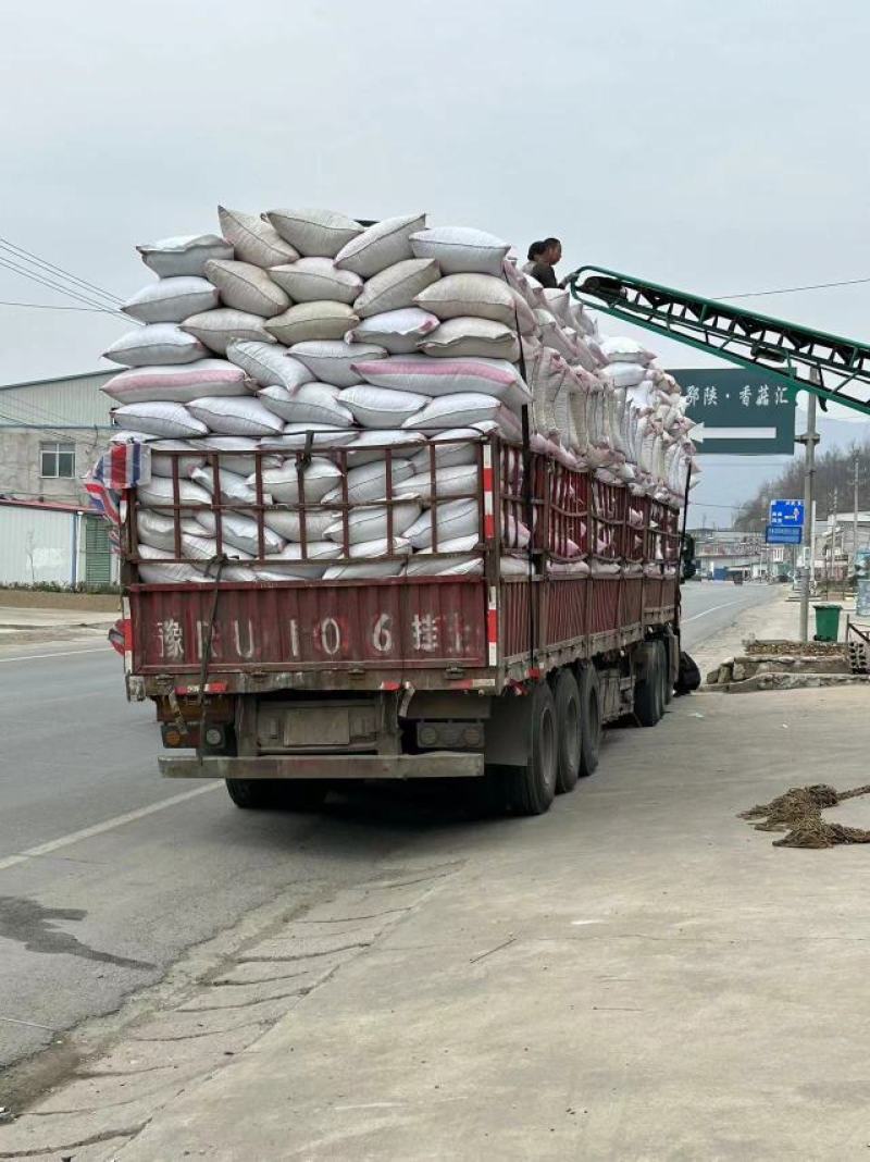 「切丝香菇脚」休闲食品原材产地发货质量保障欢迎联系