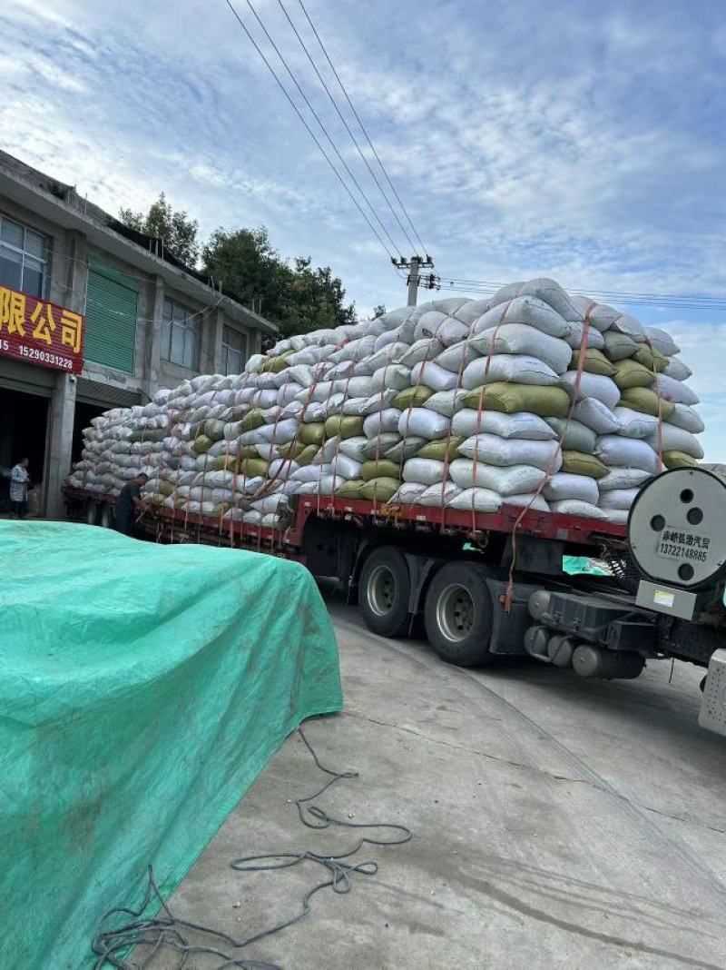 香菇脚切丝香菇脚原材料厂家货源充足保质保量