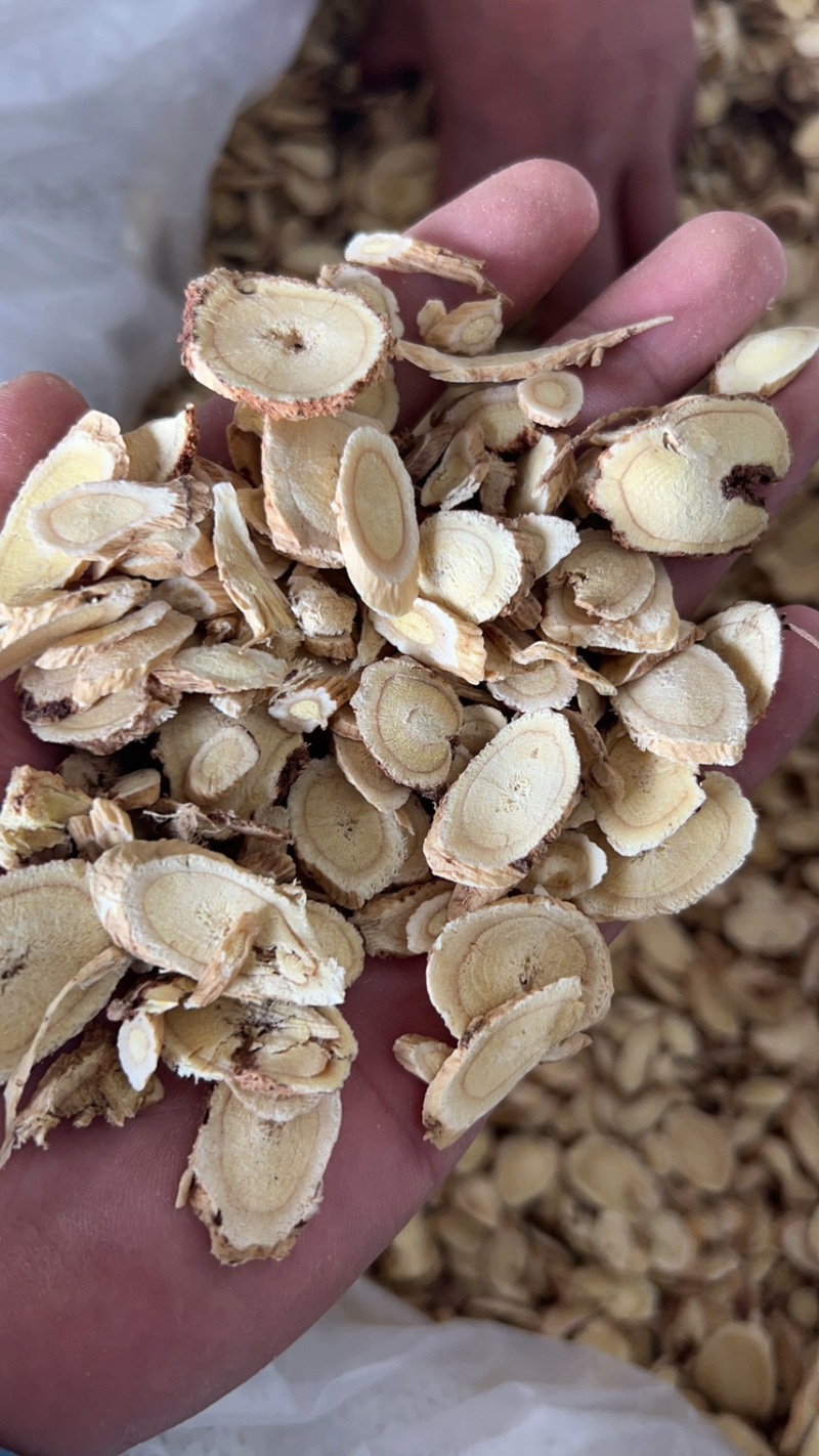 黄芪瓜子片