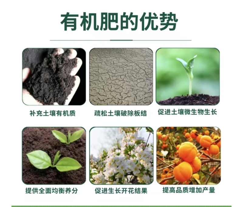 生物有机肥精制有机肥微生物菌肥小圆粒鸡粪精可机播