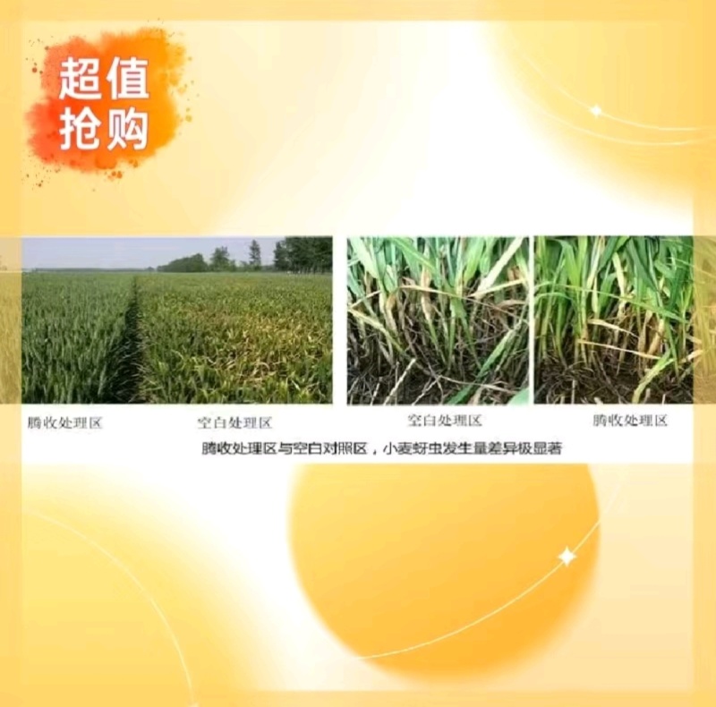 拌种剂中化腾收腾收种衣剂45%烯肟·苯·噻虫