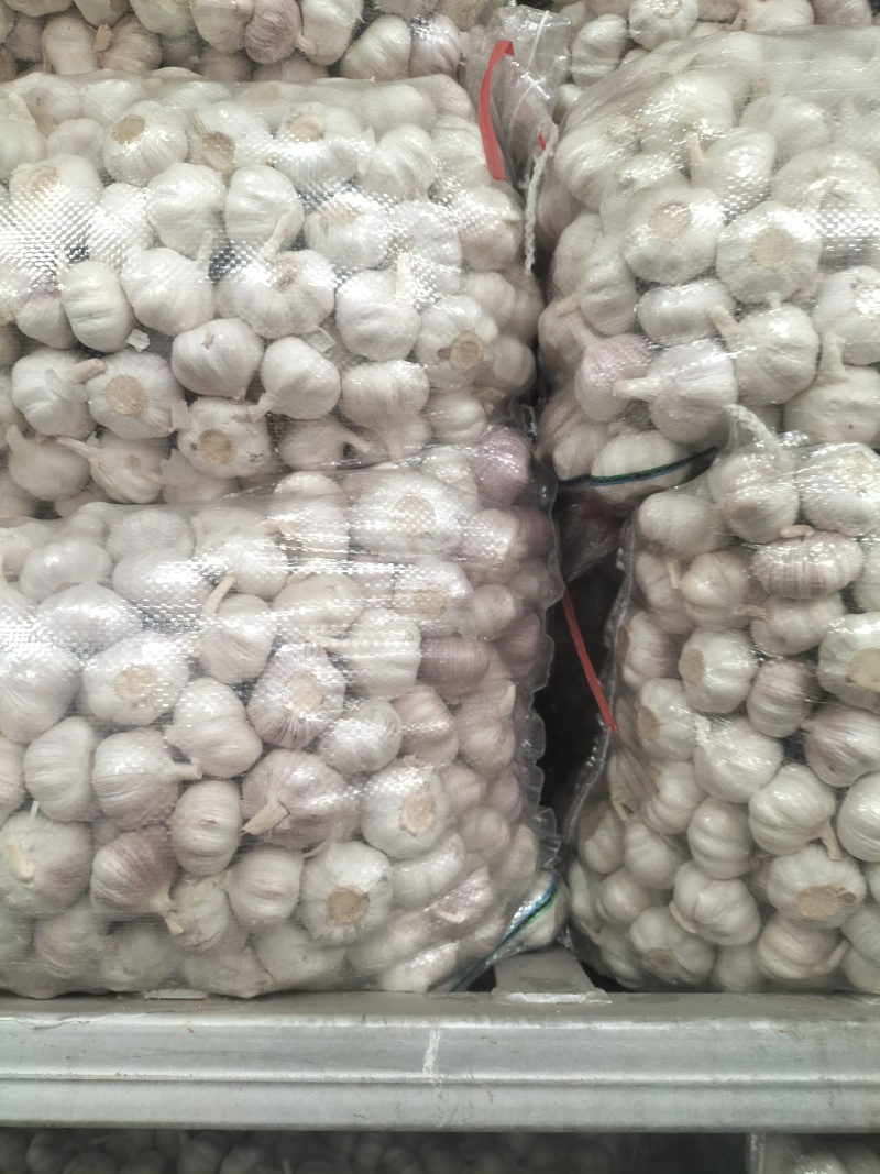 邳州精品红蒜