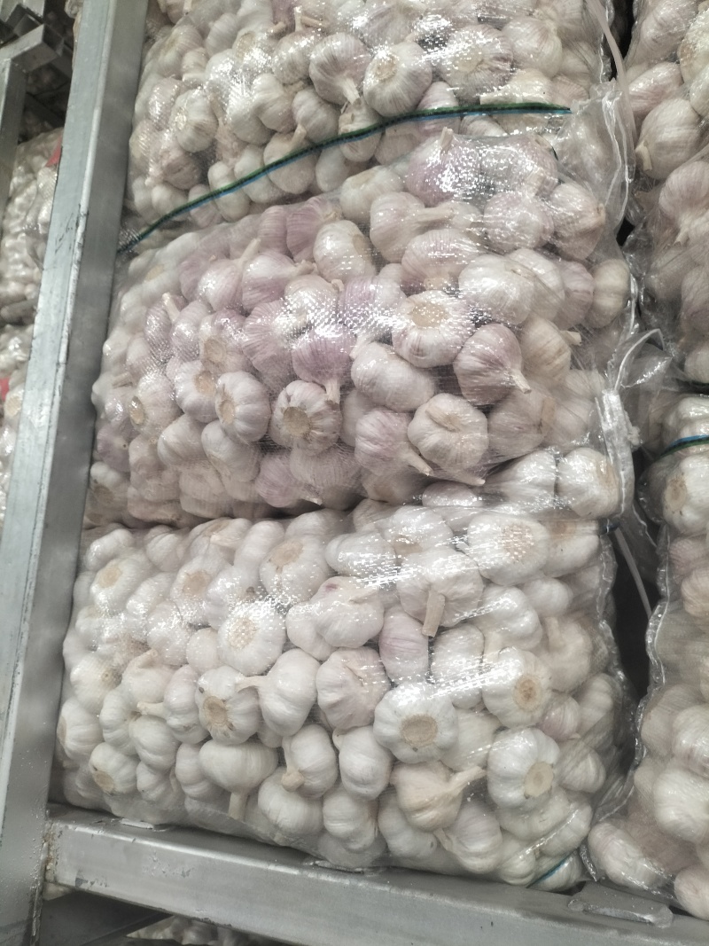 邳州精品红蒜
