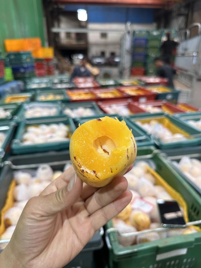 人参果电商果市场果社区团购云南石林人参果圆果生果自然熟果