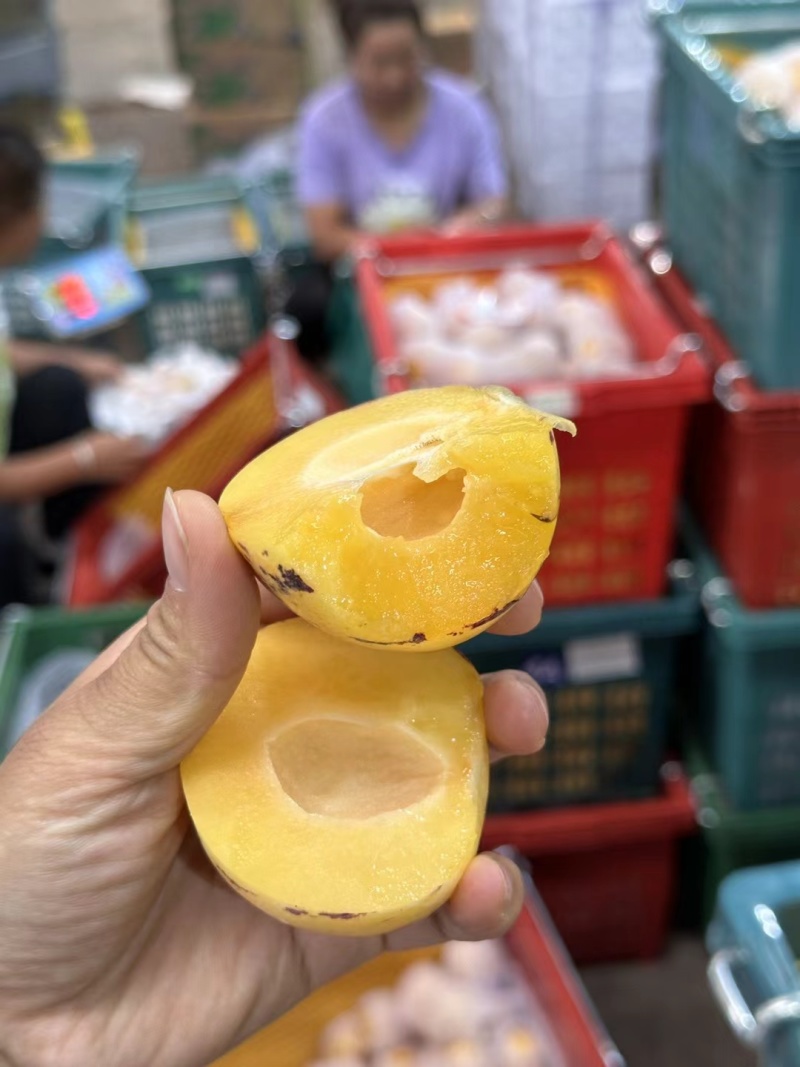 人参果电商果市场果社区团购云南石林人参果圆果生果自然熟果