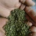 吴茱萸中花大花小花吴茱萸量大批发代磨