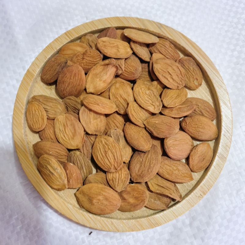 批发供应优质中药材桃仁家桃仁山桃仁桃仁桃仁有