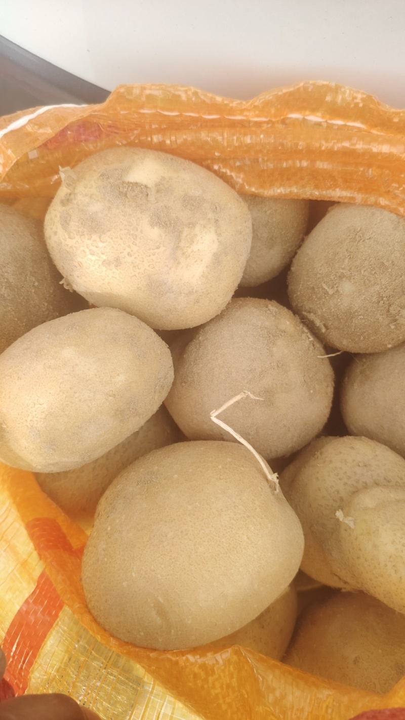 土豆西森
