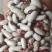 喜鹊豆批发长粒花芸豆五谷杂粮云豆