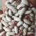 喜鹊豆批发长粒花芸豆五谷杂粮云豆