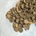 中药材牛膝野生川牛膝片甜牛膝牛漆中药牛七