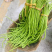 【推荐】江苏豆角/青条豆角/长条豆角/自家种植/欢迎采购
