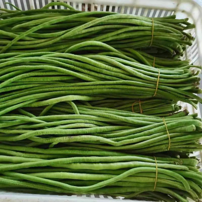 【推荐】江苏豆角/青条豆角/长条豆角/自家种植/欢迎采购