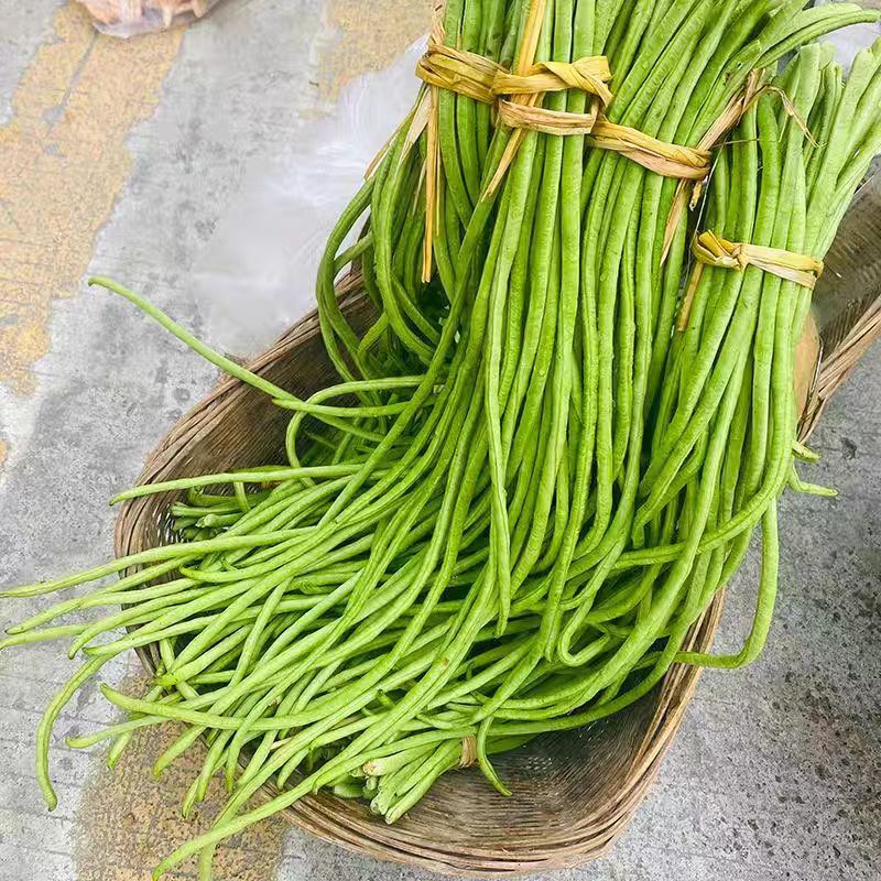 【推荐】江苏豆角/青条豆角/长条豆角/自家种植/欢迎采购