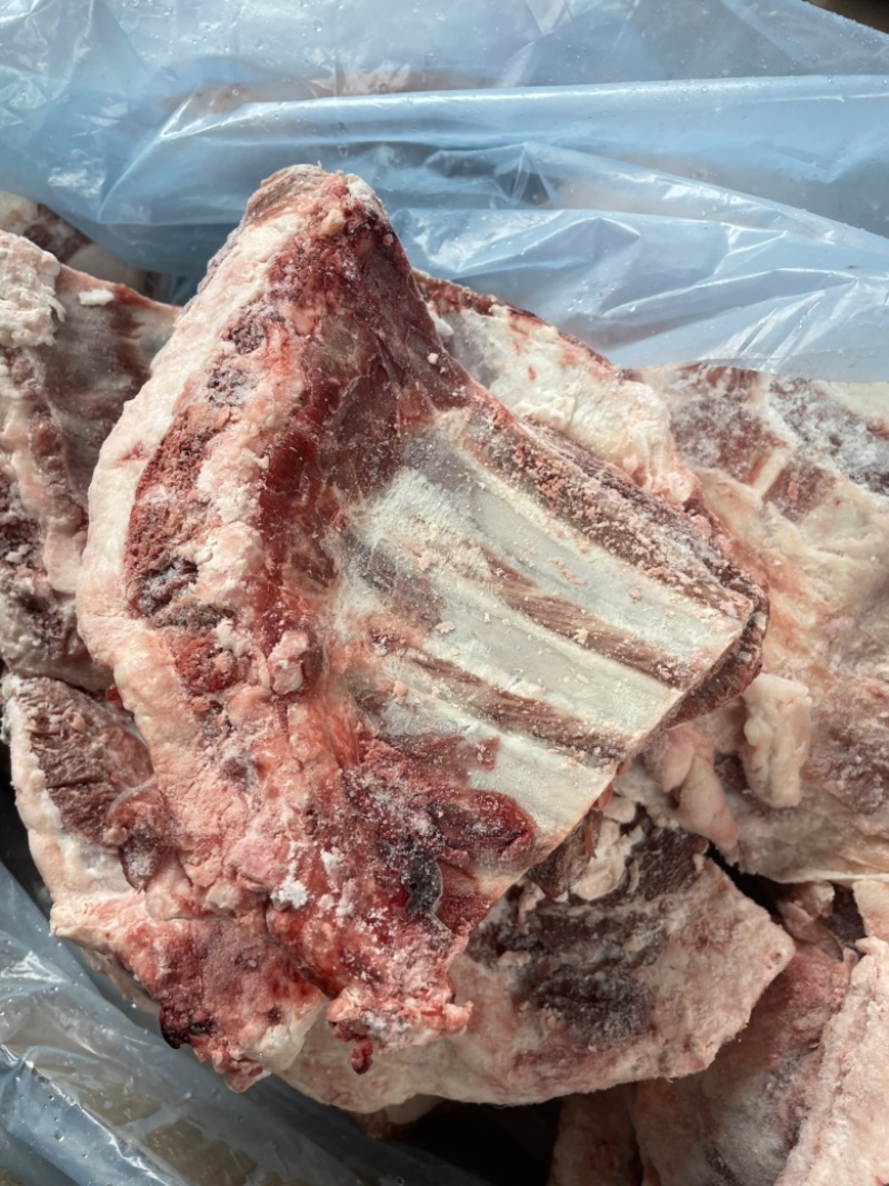 羊排（绵羊胸排块）一首货源，欢迎老板们咨询