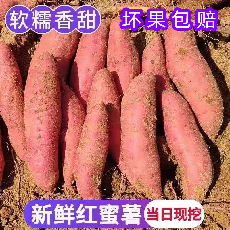 【优选】江苏红薯/烟薯/沙地红薯/产地货源/承接电商团购