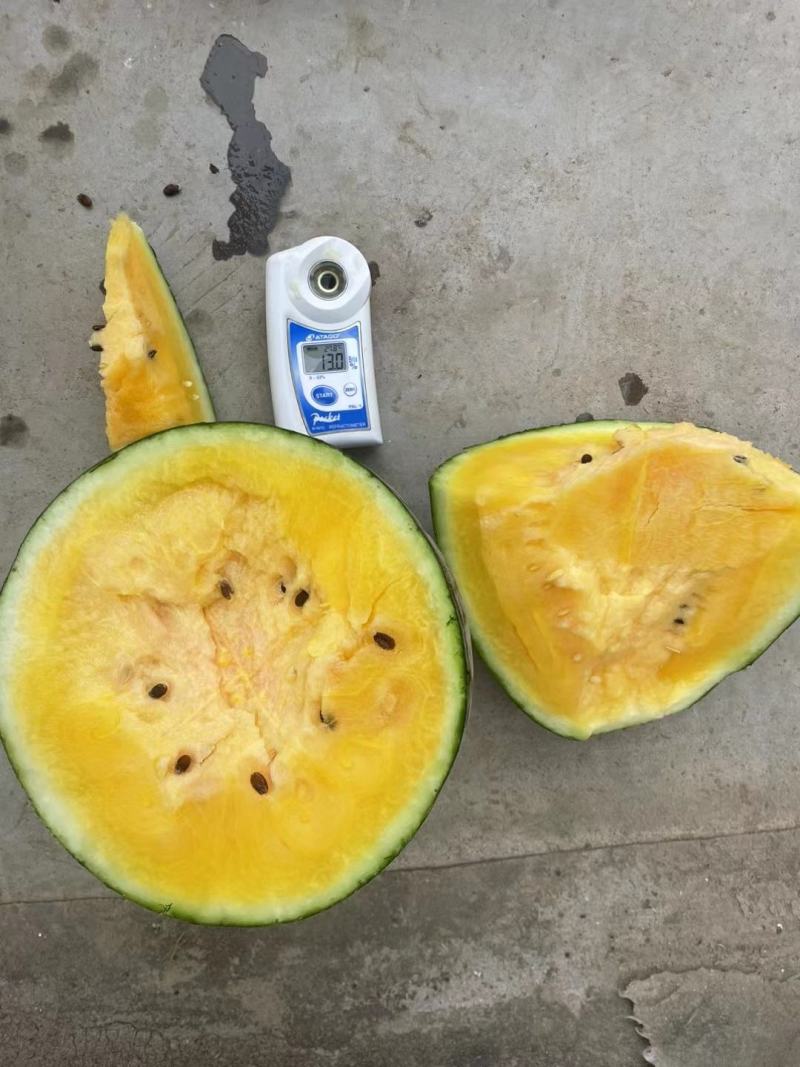 2k西瓜，各种各样的西瓜看网店。