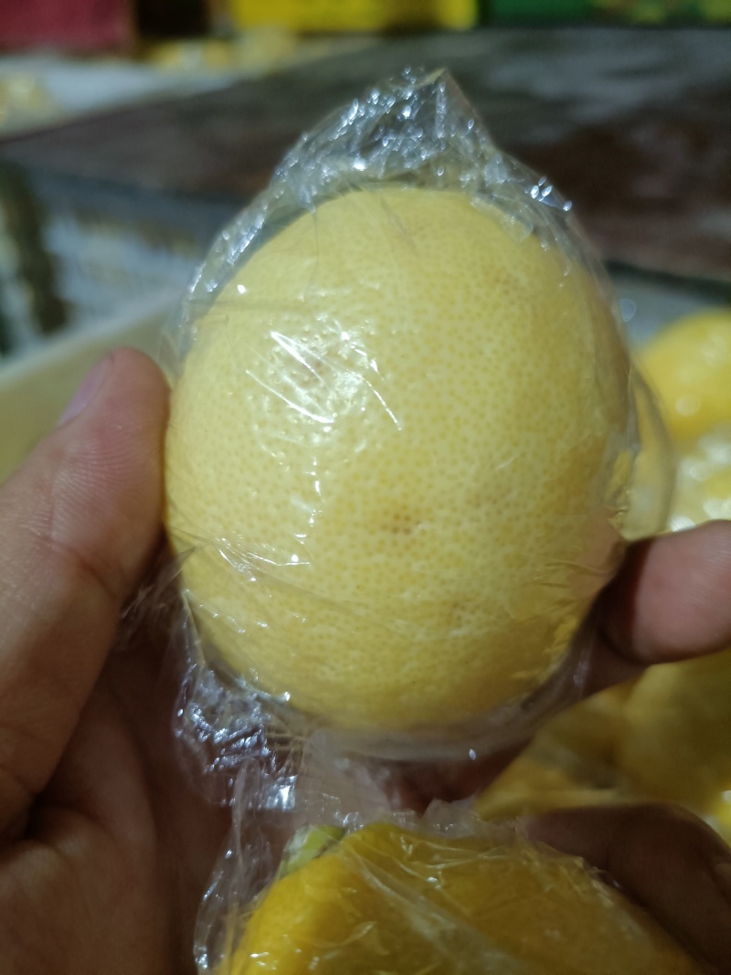 柠檬榨汁加工专用