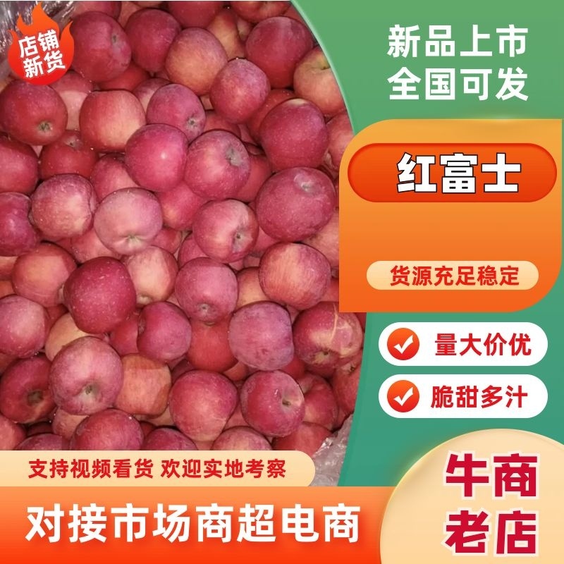 红富士苹果产区直发对接全国采购商保质保量供货