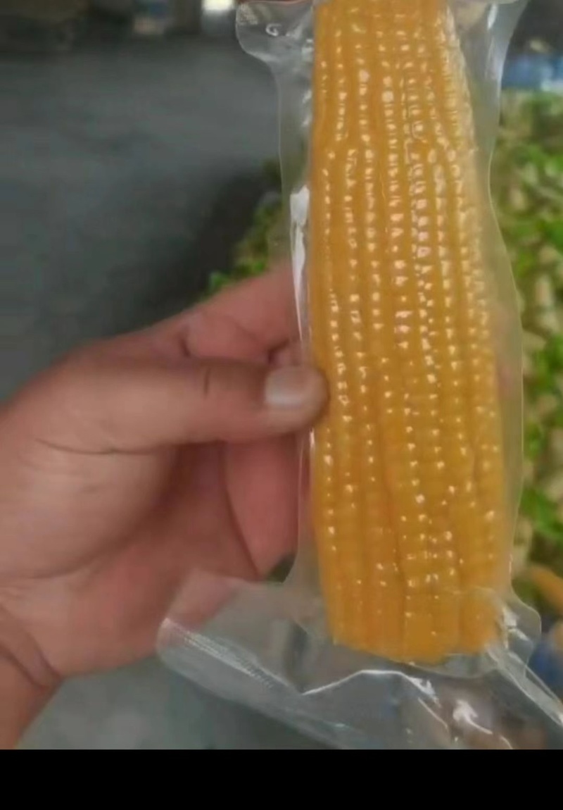 开袋即食水果玉米段真空水果玉米香甜电商货