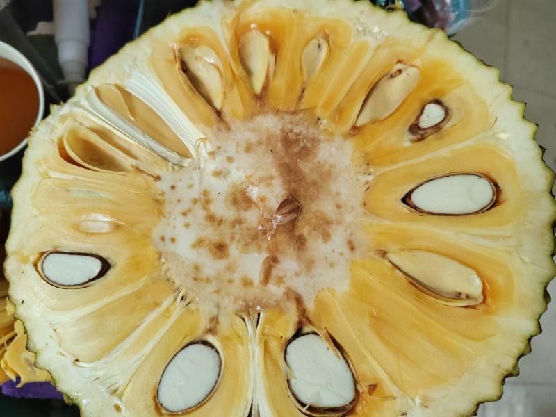 泰八菠萝蜜
