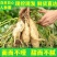 广东白皮白心牛奶人参薯，粉糯香甜，长期有货，有需要联系我