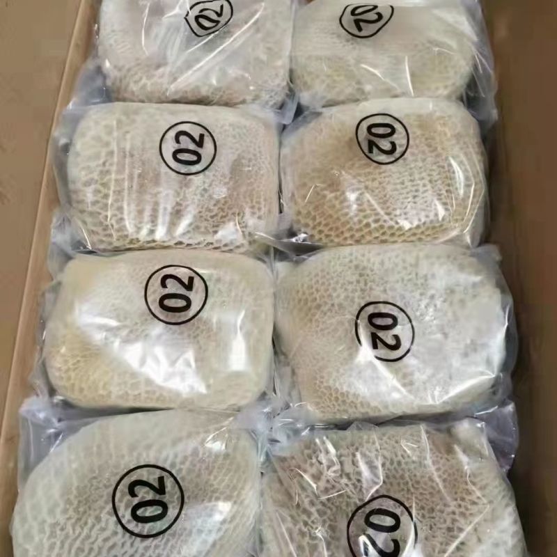 新鲜纯干金钱肚鲜蜂窝肚黄牛肚牛胃原肚整个牛小肚黄金肚手工