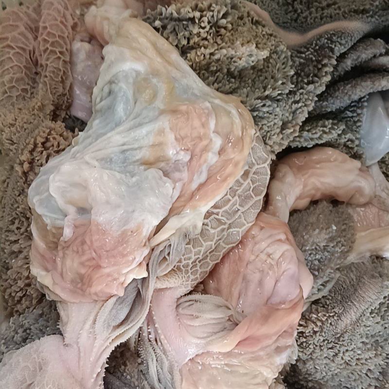 生羊肚质量杠杠的好吃不贵质量保证欢迎老板致电咨询