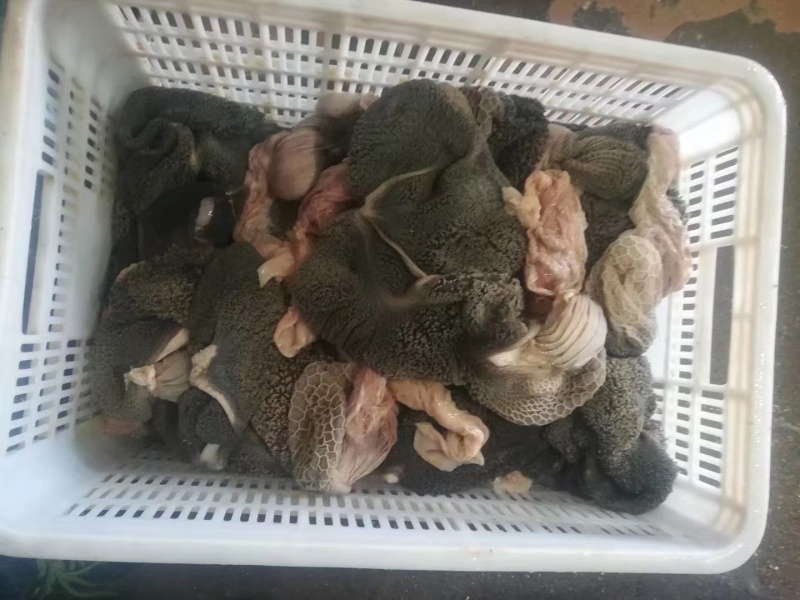生羊肚质量杠杠的好吃不贵质量保证欢迎老板致电咨询