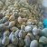 贵州香芋南瓜应季