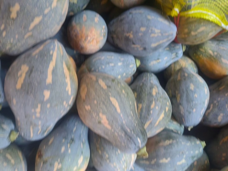 贵州香芋南瓜应季