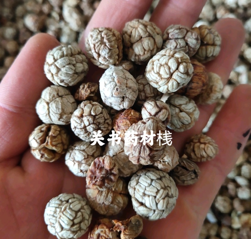 草果统批发各种调料规格齐全关书药业
