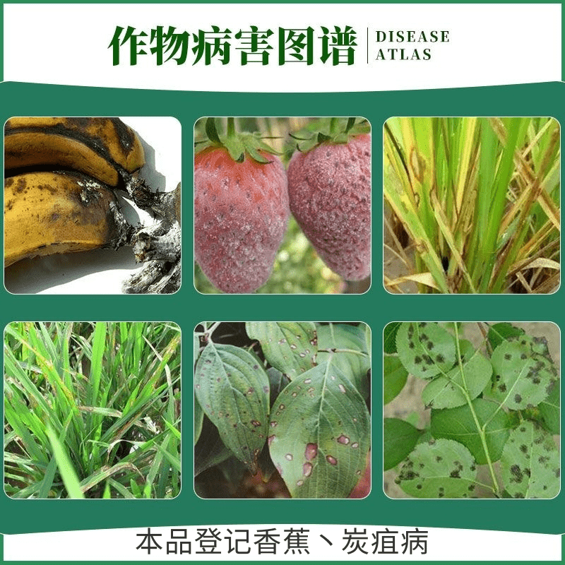 45%咪鲜胺炭疽病叶斑病黑星病白粉病果树蔬菜花卉保鲜农药