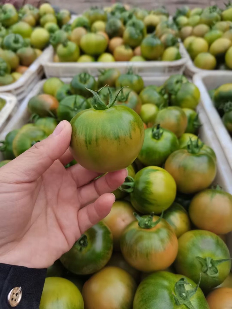 草莓西红柿，铁皮西红柿，原产地电商市场超市直发
