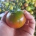 草莓西红柿，铁皮西红柿，原产地电商市场超市直发