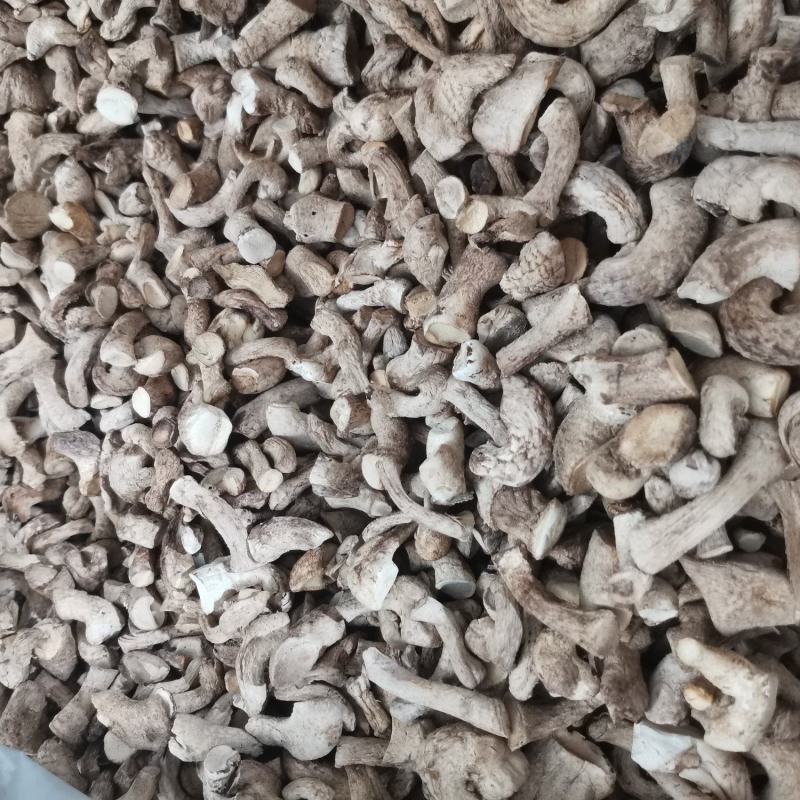 精选双剪香菇腿一手货源全国发货量大价优欢迎联系