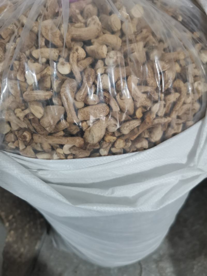 精选双剪香菇腿一手货源全国发货量大价优欢迎联系