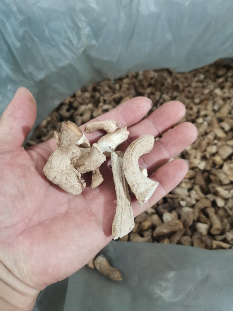 精选双剪香菇腿一手货源全国发货量大价优欢迎联系