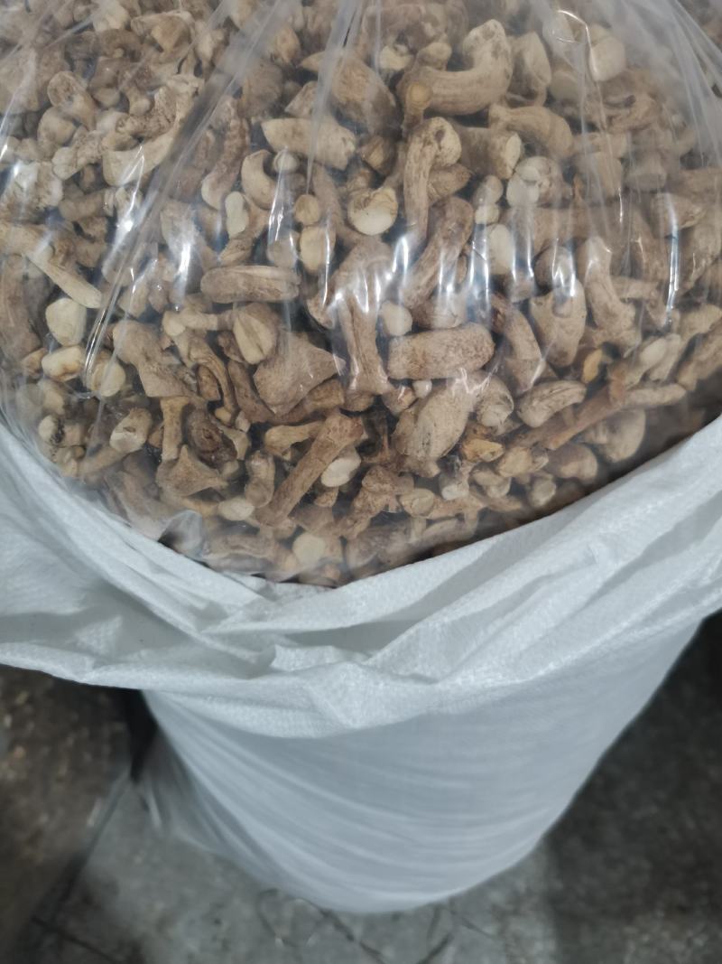 精选双剪香菇腿一手货源全国发货量大价优欢迎联系