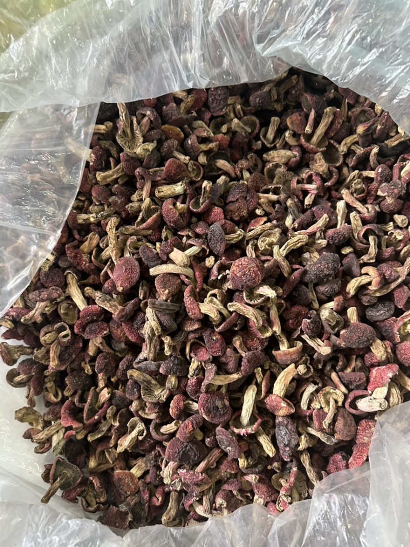 红菇丁红菇月子菇正红菇2024手新货