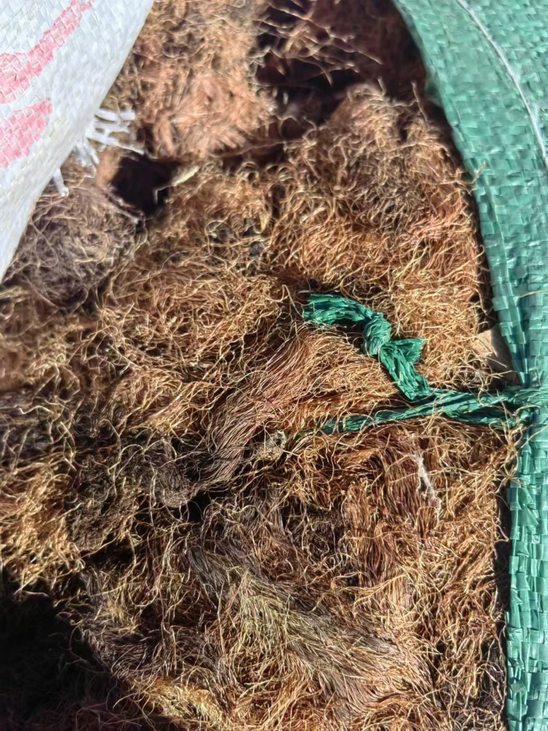 玉米须大量有货，现有25吨