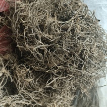 云南文山精品中药材威灵仙野生威灵仙大量现货