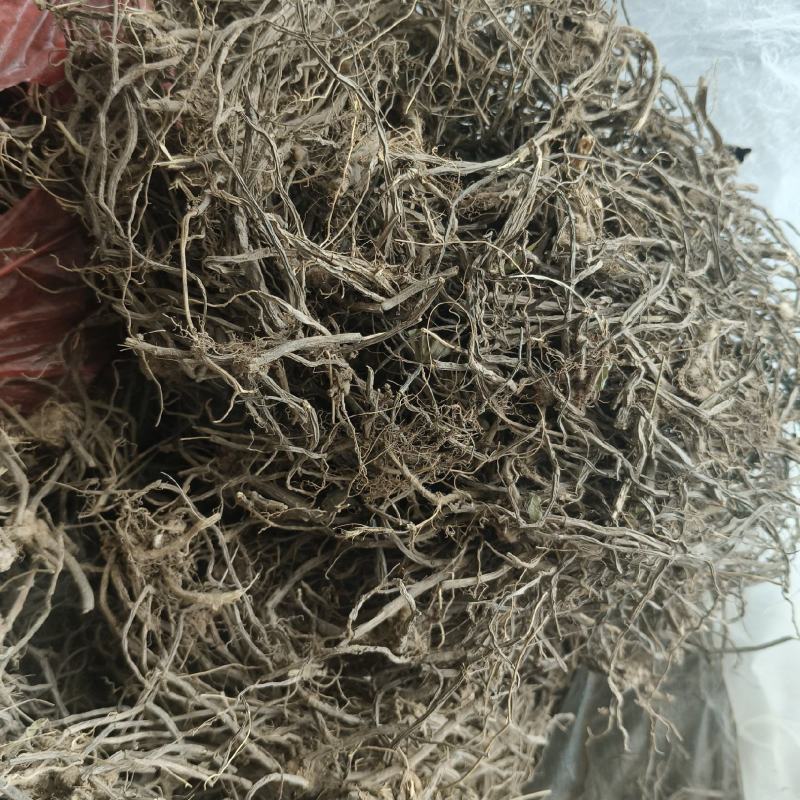 云南文山精品中药材威灵仙野生威灵仙大量现货