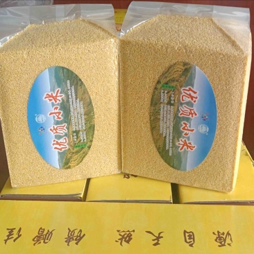 辉渠小米