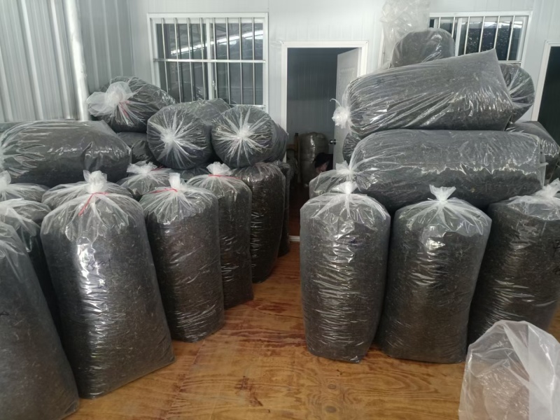 凤凰单丛茶蜜兰香，工厂直批，一件起批欢迎咨询