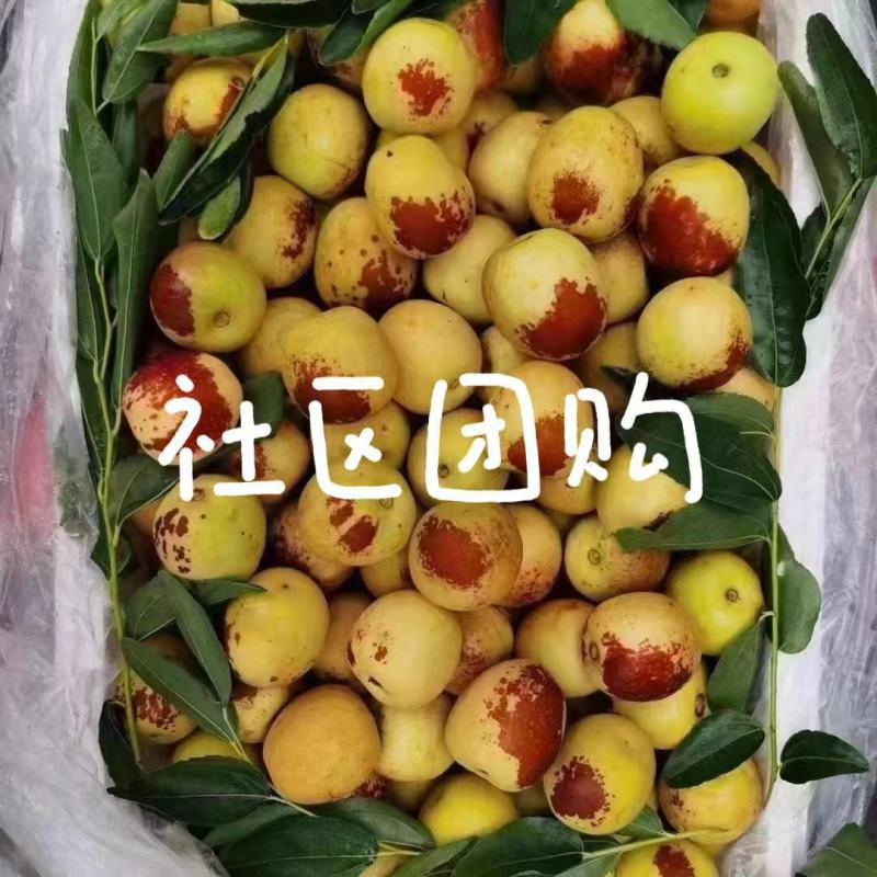 冬枣，脆甜冬枣产地发货，社区团购电商代发