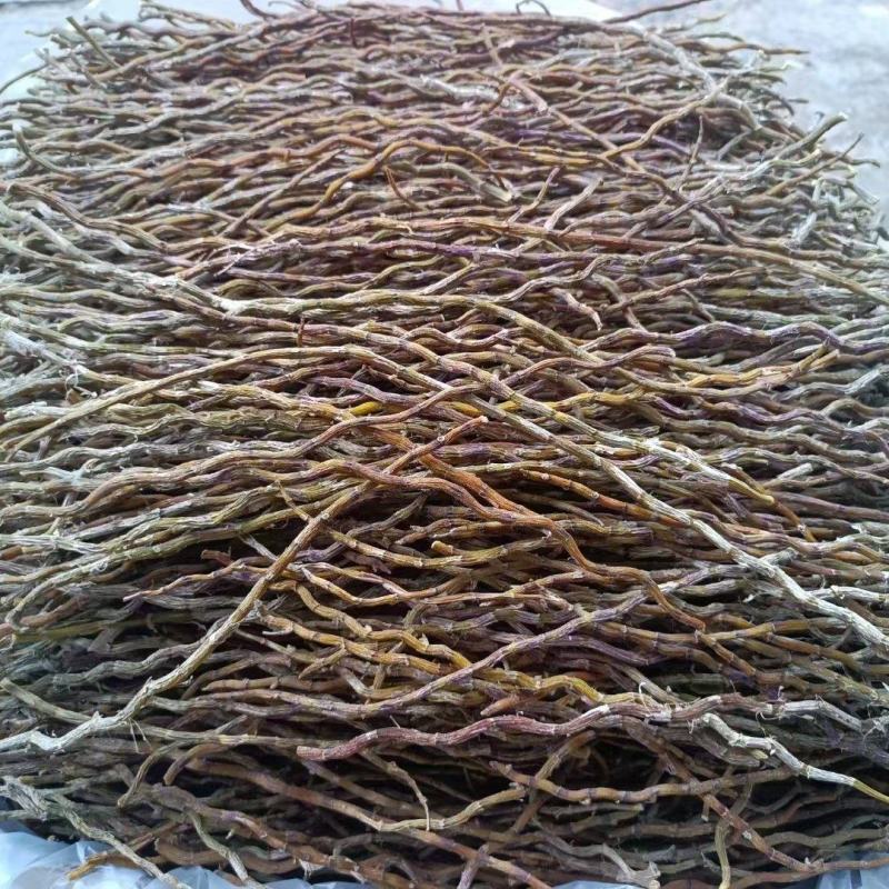 铁皮石斛干条。质量保证，一手货源！！土特产！！！！！！