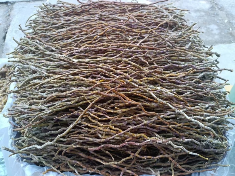 铁皮石斛干条。质量保证，一手货源！！土特产！！！！！！