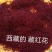 【实力供货】西藏藏红花品质保证量大价优欢迎老板下单