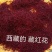 【实力供货】西藏藏红花品质保证量大价优欢迎老板下单